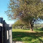 Casa Boni Y Florina Holiday home