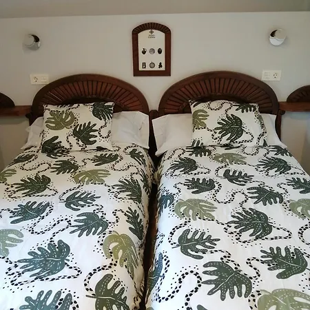 Casa Boni Y Florina *