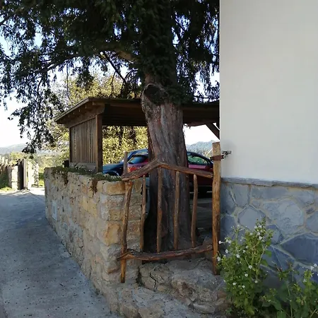 Holiday home Casa Boni Y Florina *