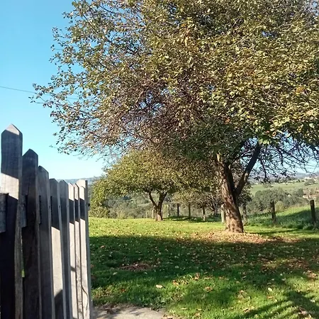 Casa Boni Y Florina Holiday home